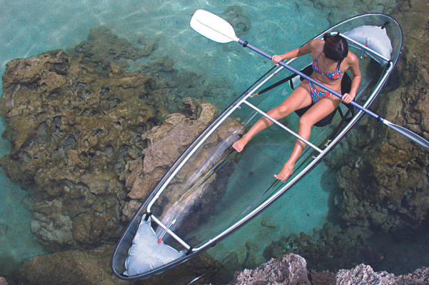 oahu-clear-kayak-tours.jpeg
