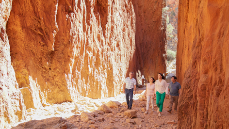 The Best of Alice Springs Tour
