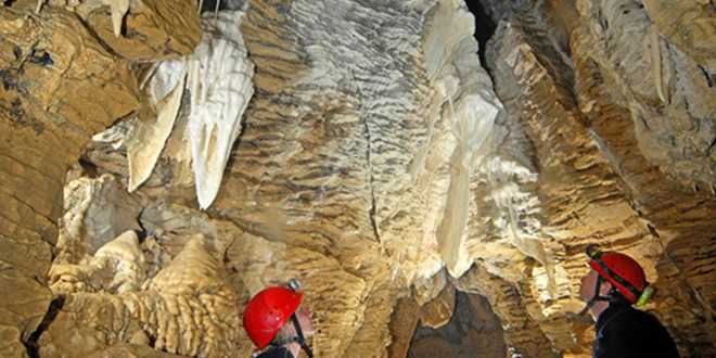 waitomo-caves-hamilton