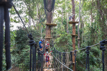 Treetop Challenge High Ropes Course Sunshine Coast