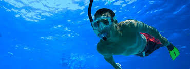 Snorkelling Adventure Tour From Fremantle