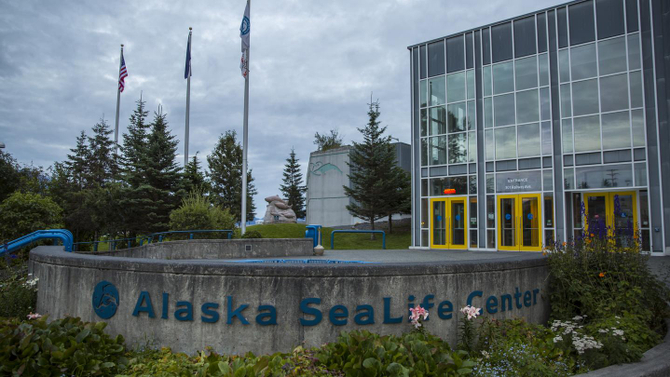 Alaska Seal Life Center.