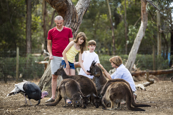 Kangaroo Island Tour from Adelaide
