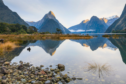 Milford Sound Experience Small Group Tour
