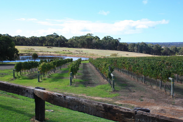 margaret river wine tour for couples