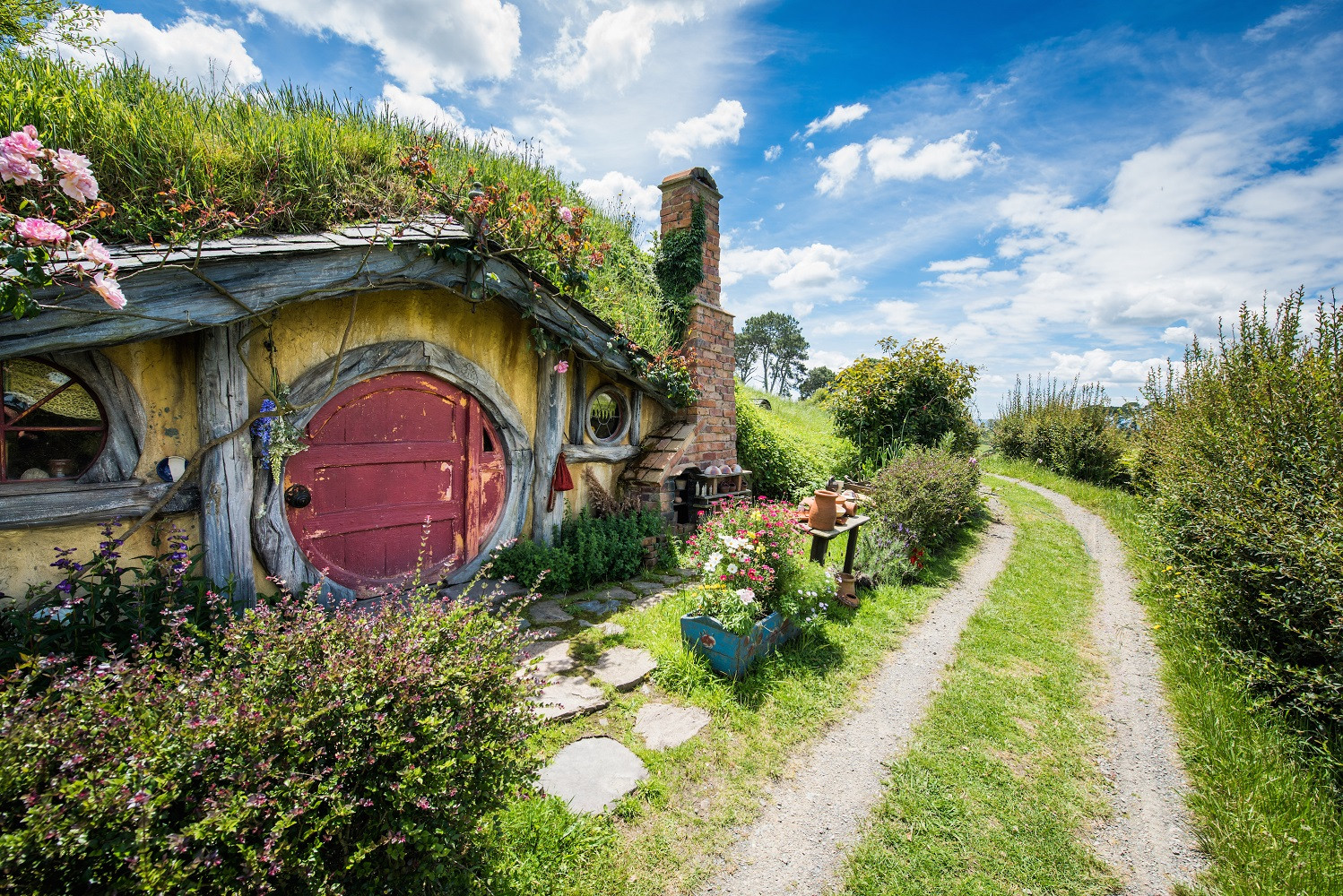 day tour from auckland to hobbiton