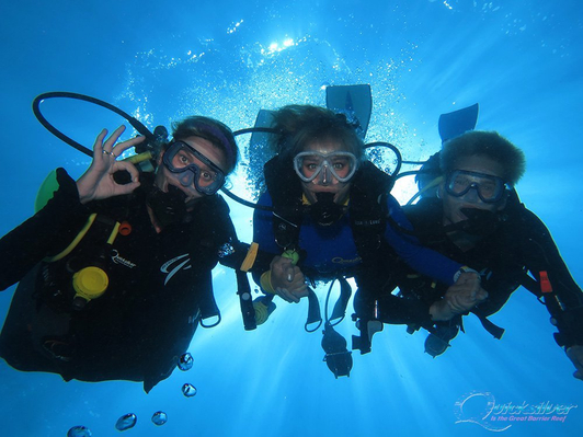 Great Barrier Reef Intro Dive Trip Deal