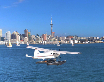 Auckland Island Hopping Scenic Flight