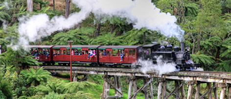 Puffing Billy & Healesville Sanctuary Scenic Bus Tour
