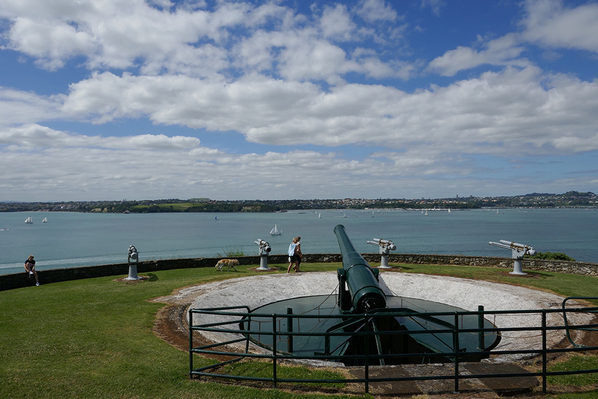 auckland north head kayaking tours