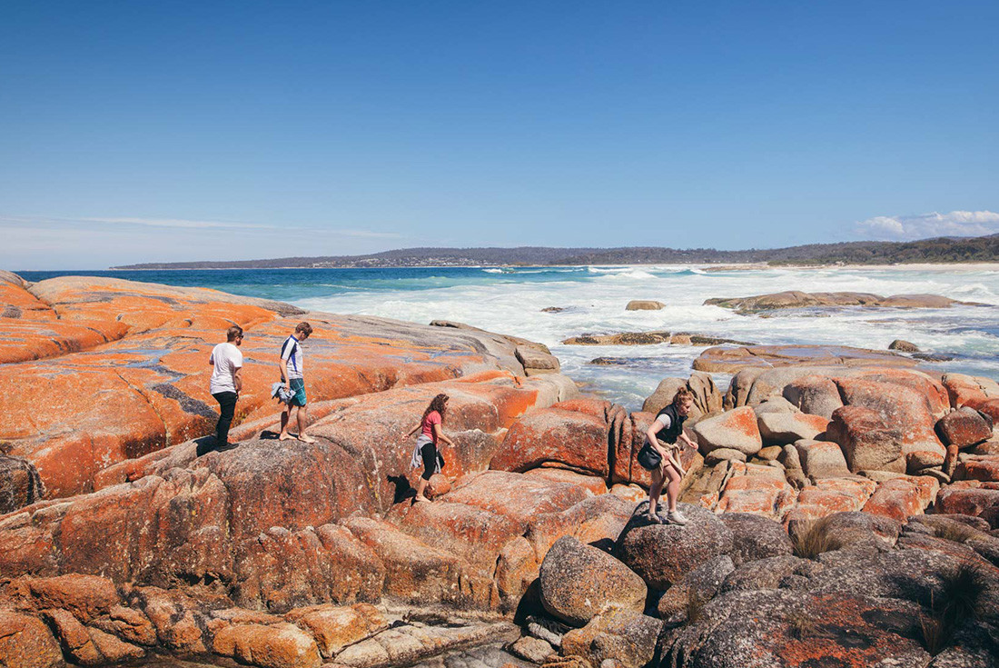 5 Day Bay Of Fires Walking Tour Backpacker Deals