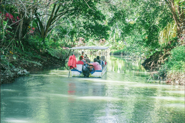 boat-mangrove