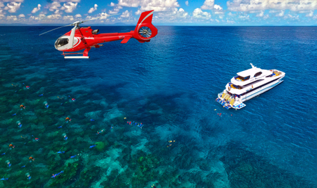 Dive & Snorkel Full Day Tour With Helicopter Ride