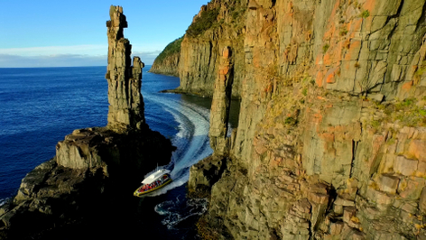 3 Hour Wilderness Cruise From Bruny Island
