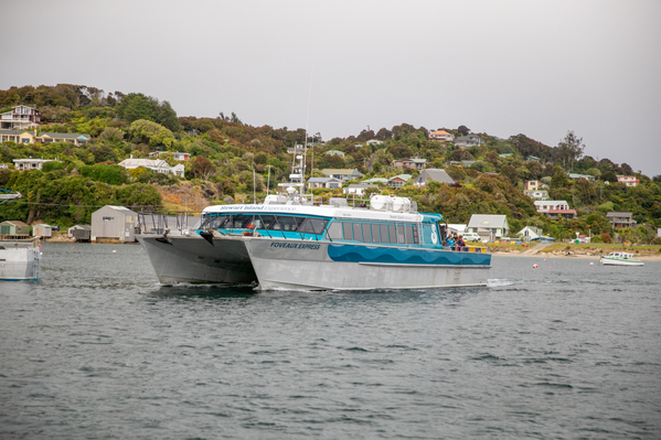 Ferries to Stewart Island