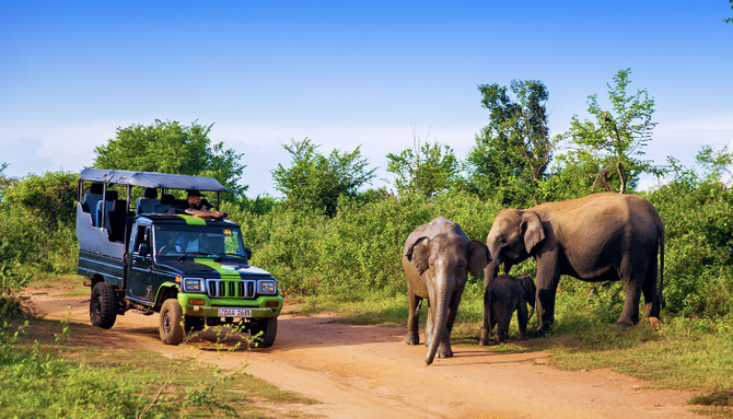 guided safari tour sri lanka
