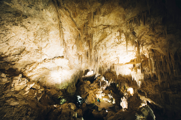 Mammoth Cave Self-Guided Audio Tour Deal