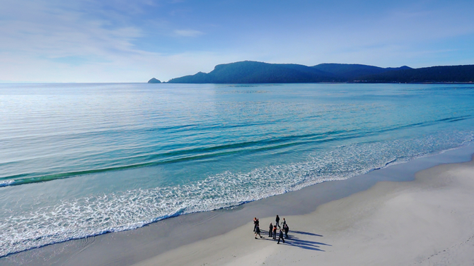 Bruny Island Full Day Tour