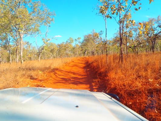 kakadu national park tours from darwin