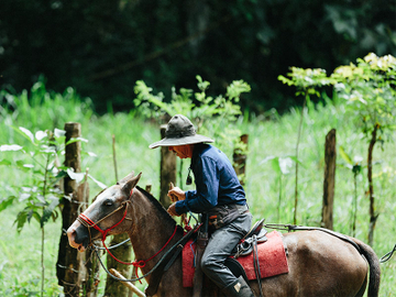 Horseback Riding Tocori Waterfalls & Ranch