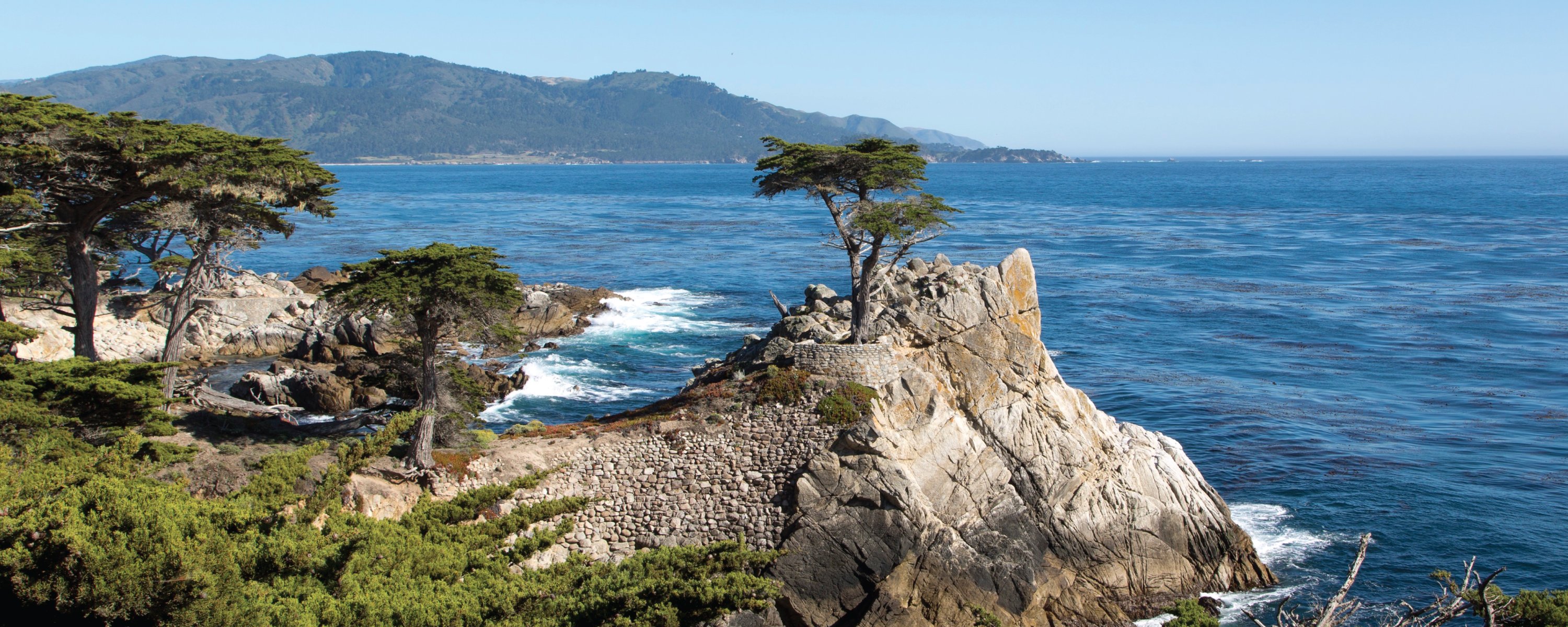 Monterey Carmel Tour From San Francisco Backpacker Deals