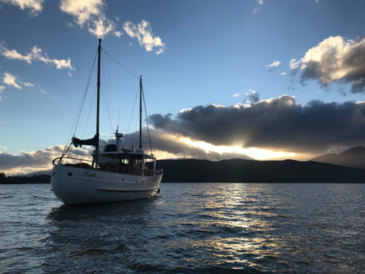 Faith Fiordland Cruises Discount