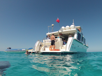 Full Day Snorkel Or Intro Dive Outer Great Barrier Reef - Ex Mission Beach