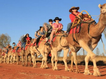 Uluru Camel Express Tour