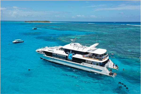 Lady Musgrave Island Day Tour Experience