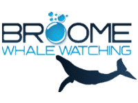 Broome Whale Watching