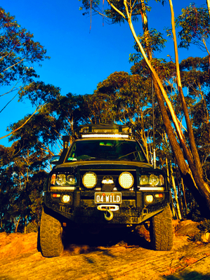 Blue Mountains Off The Beaten Track 4WD Day Adventure Deals
